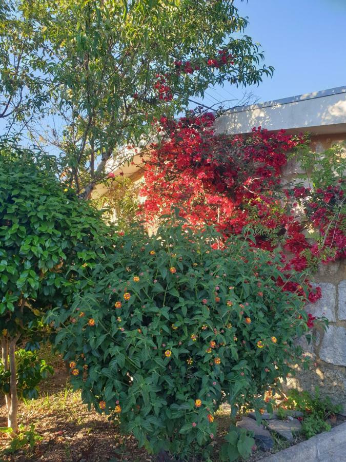 - Olive House Holiday home