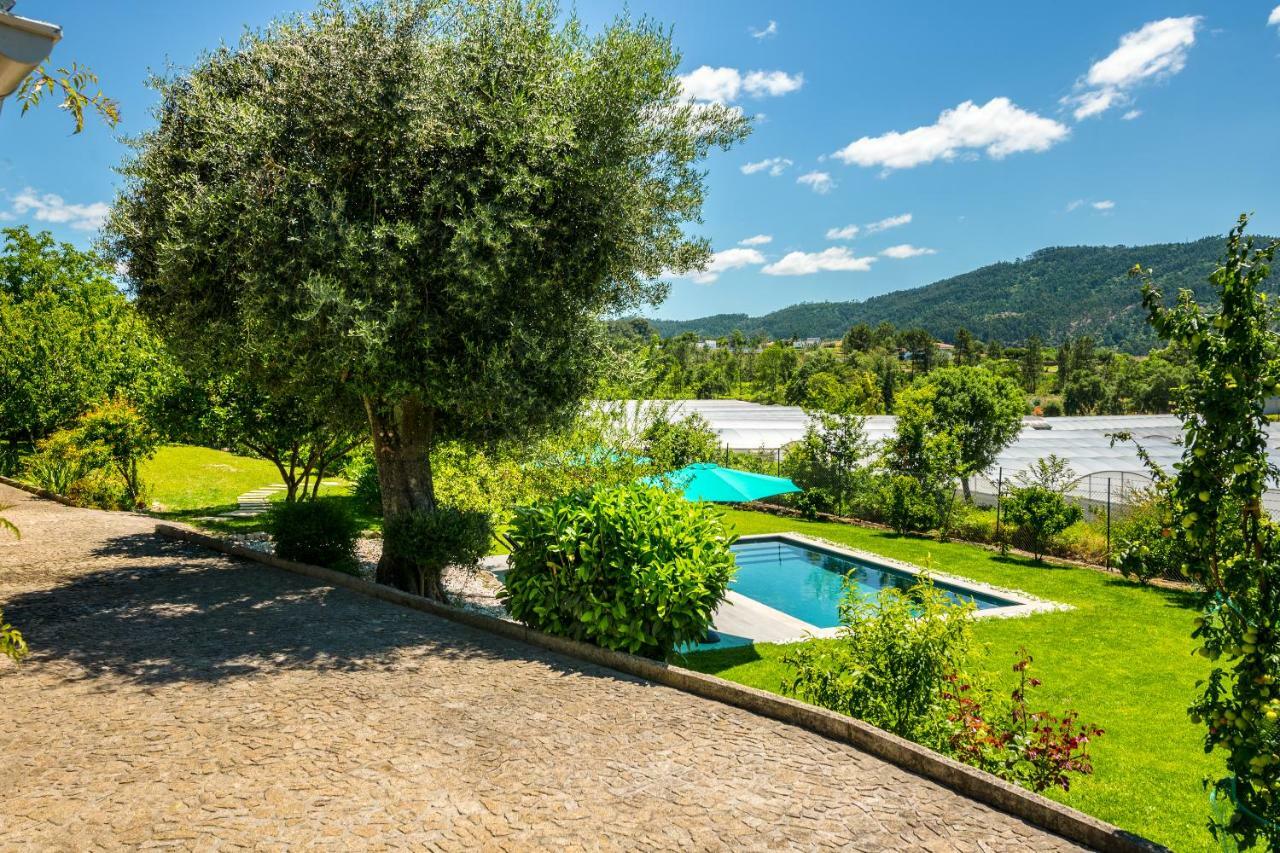 - Olive House Areias de Vilar